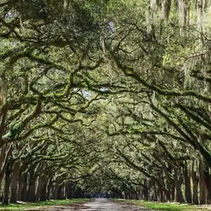 Holiday home Sav Summer Escape - River St & Dt - Free Parking, Savannah